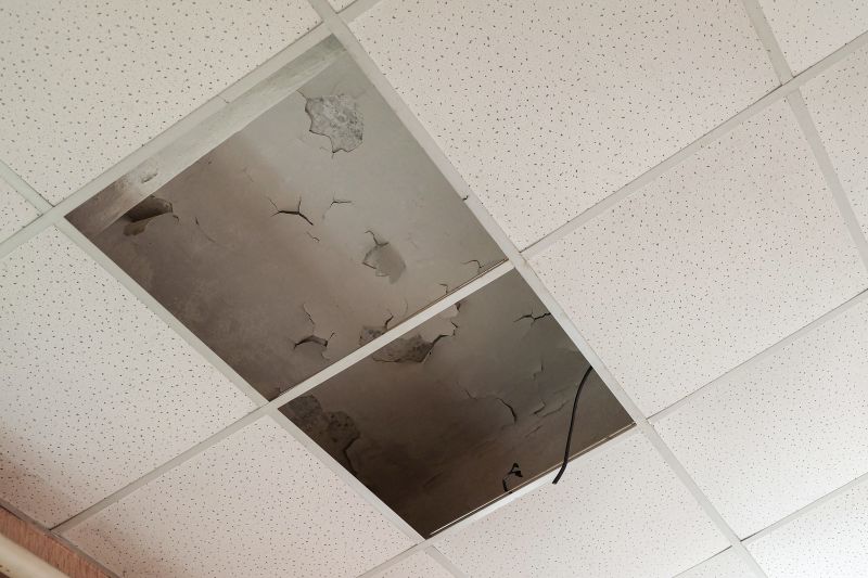 Ceiling Leak Repair Service in Denver, CO