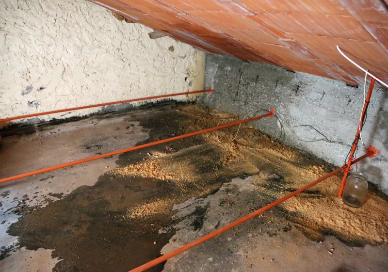 Building Damage Repair in Katy, TX